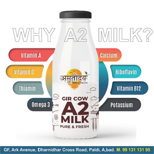 Gir Cow A2 Milk Pure and Fresh